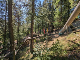 PXL 20230806 081201315